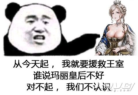 圣女战旗steamdeck能玩吗,圣女战旗switch攻略第二十八关