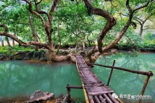 广西人丁最旺的地方,广西含硒最多的地方