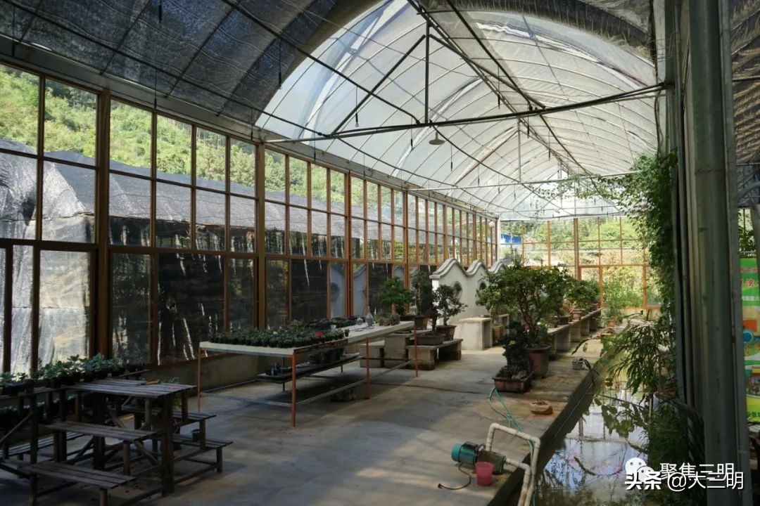 中国最美三明旅游线路,中国绿都泰宁最氧三明