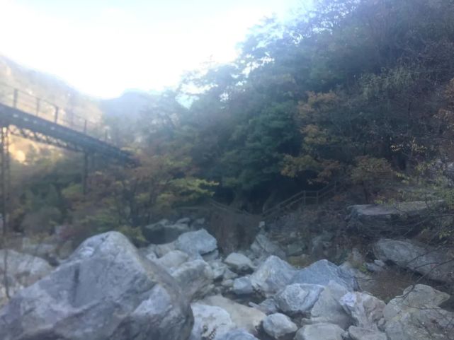 庐山风景到底怎么样,庐山有哪些著名自然景观