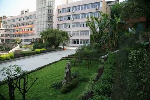 重庆小升初各区初中排名,重庆小升初学校排行榜前十名