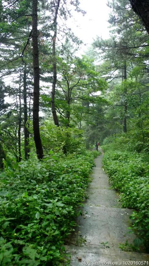 徐建成散文随笔选,徐建成的散文随笔