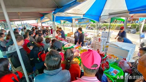 乌鱼子品尝,台湾哪里有乌鱼子吃