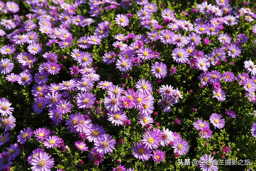 唐山城内游玩攻略,唐山游玩指南