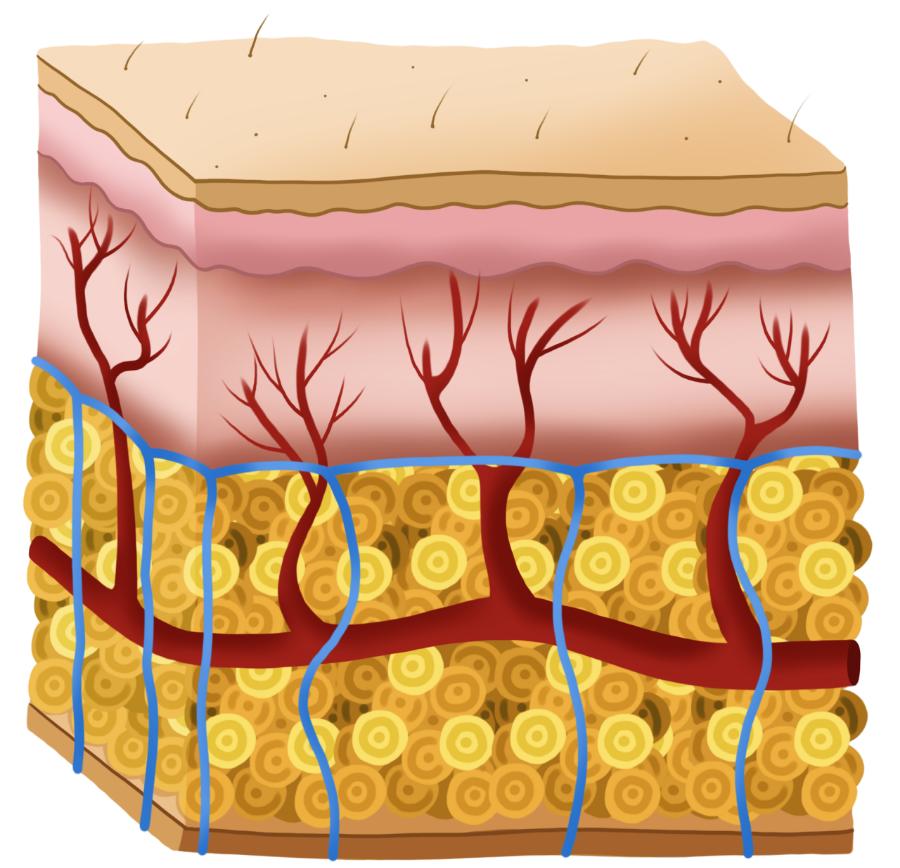 正品护肤品秒杀抗皱纹的护肤品,秒杀高档护肤品