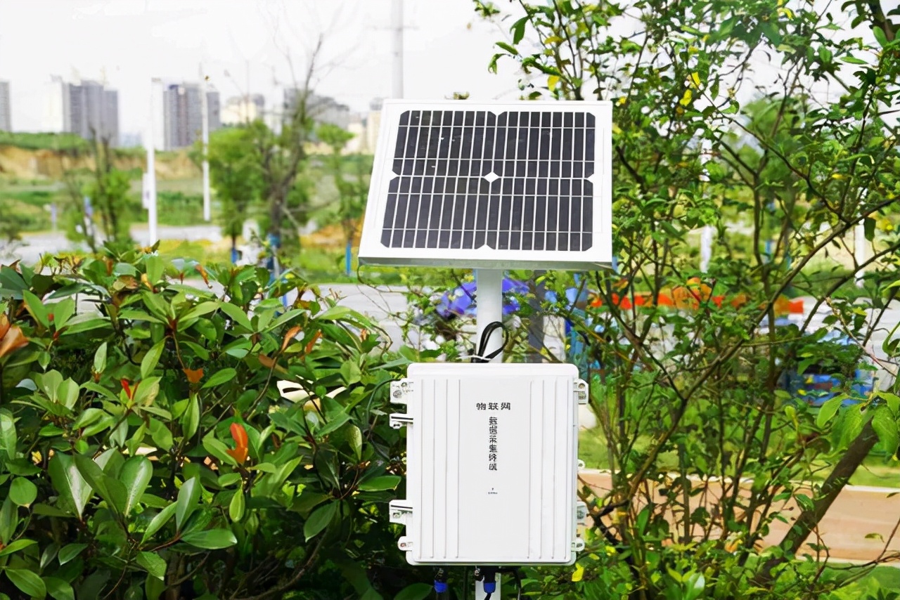 世界文化遗产良渚古城遗址公园,镇江小龙山公园