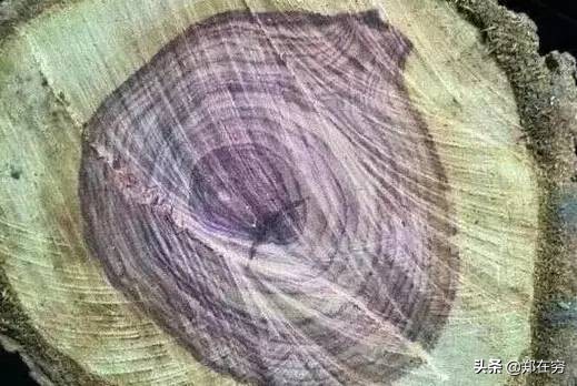 最好前五种的木材,九种常见木材