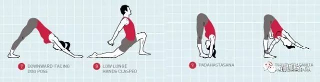 脖子越来越粗是什么原因造成的,脖子粗怎么判断是病了还是胖了