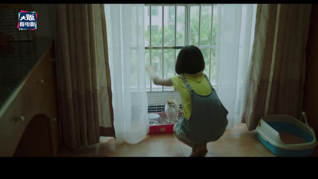 《隐秘的角落》象征含义和结局探讨，每个动物都有它的意义