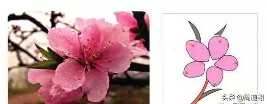 100幅桃花画,怎么画桃花树林