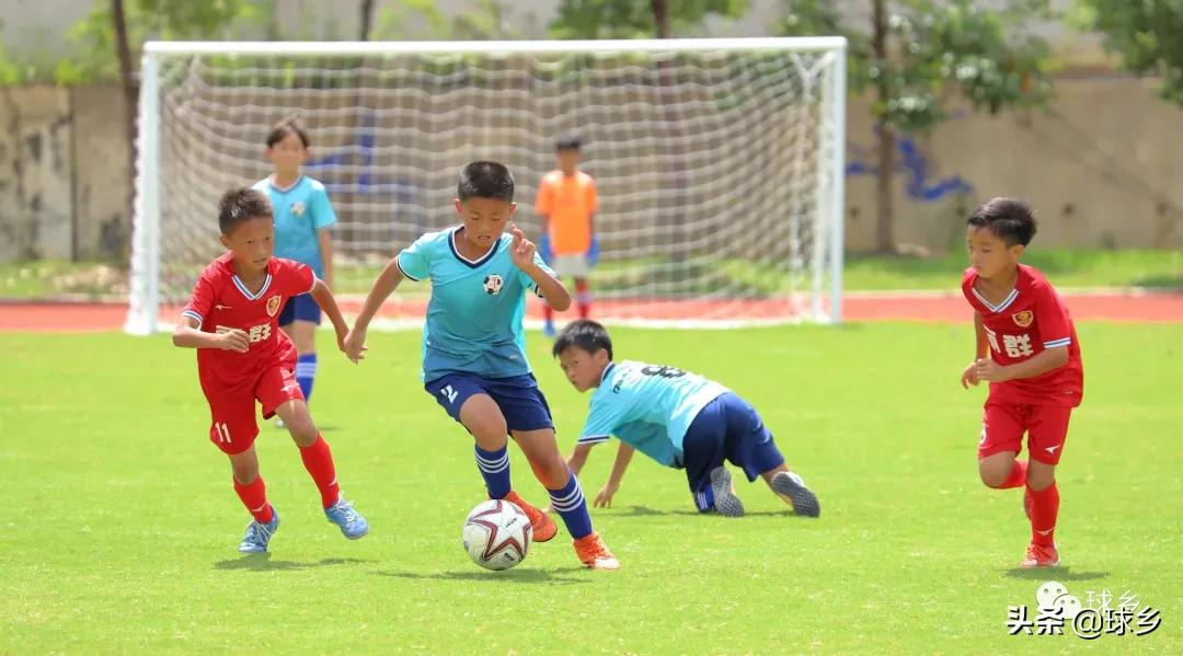 区中小学足球联赛,体教融合杯中学篮球赛