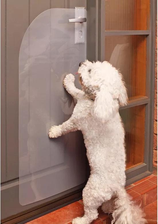 有宠一族必看：啥家庭条件呀，好几万的沙发随便毁？