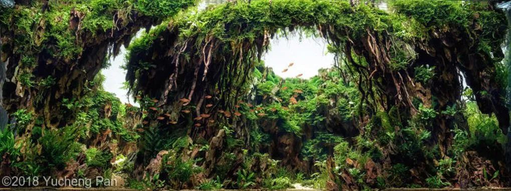 造景如何看起来有层次,十个最好看的造景