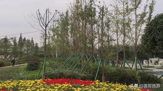 成都金牛区旅游景点,成都金牛区有什么景点