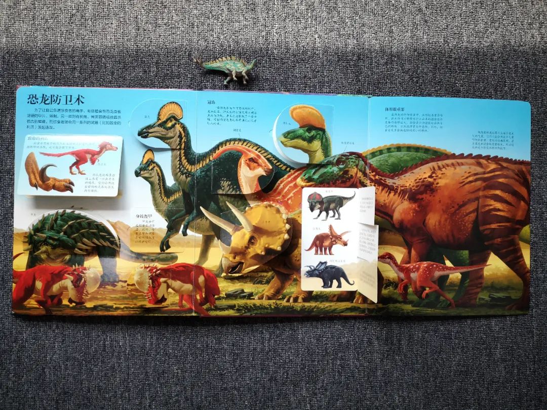 适合孩子看的恐龙科普书,适合5岁孩子看的恐龙科普书