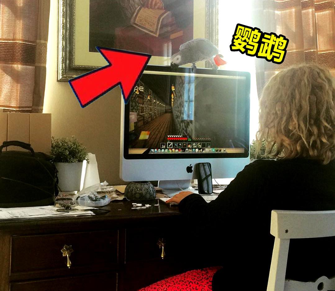 我的世界宠物养殖方法 (我的世界推荐养的宠物)