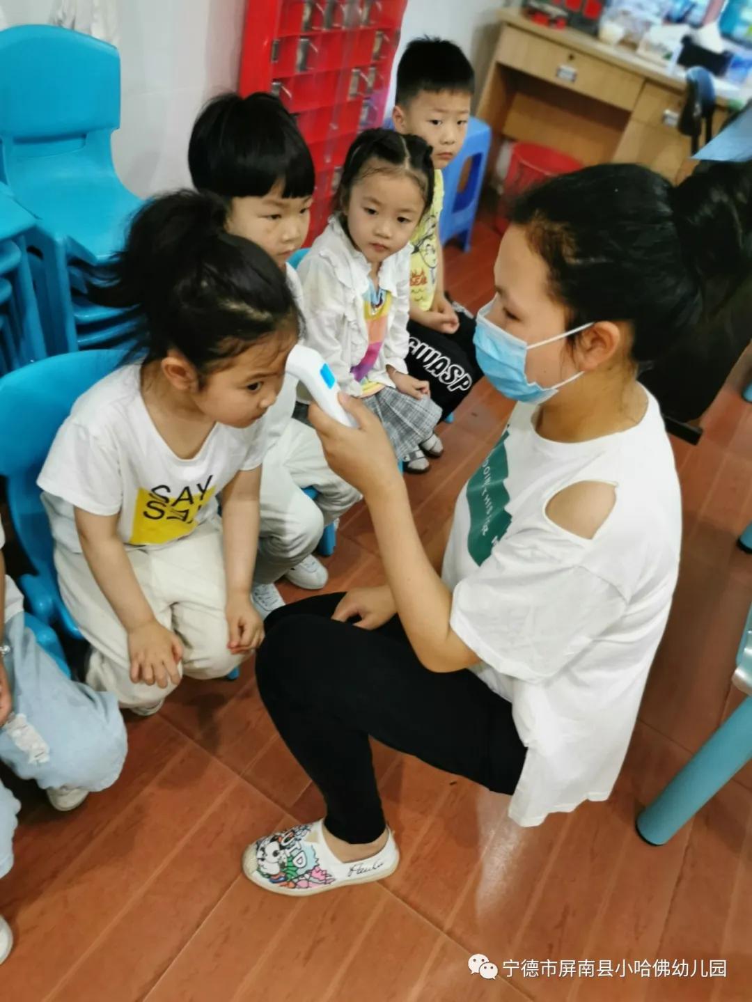 宁德小哈佛幼儿园,宁德蕉城区小哈佛幼儿园