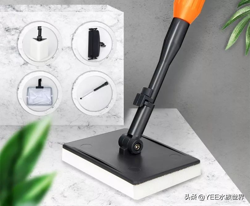 鱼缸除藻最好用的工具,鱼缸除褐藻绿藻工具