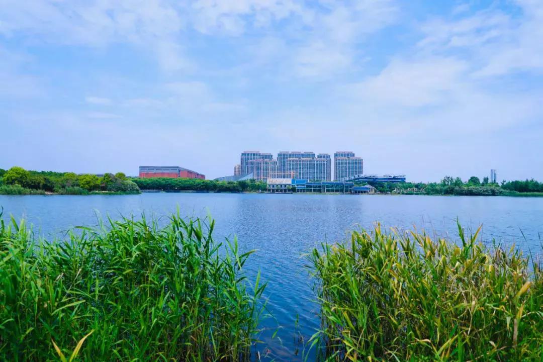 金沙湖钱塘新区,钱塘区金沙湖规划