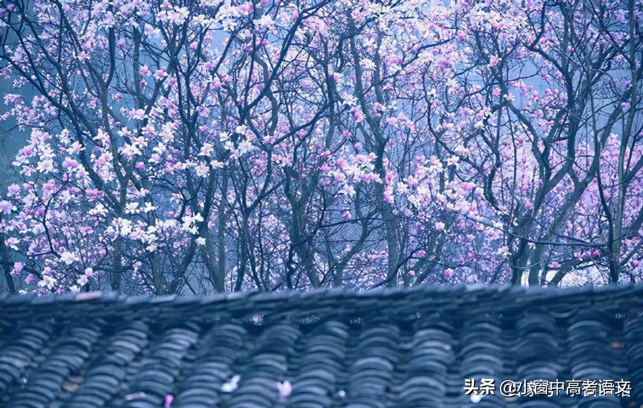 中考语文常考180个文言实词,高考语文120个文言实词