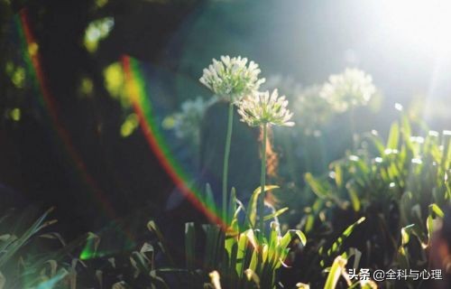 不懂拒绝的人,最后都被拖垮了