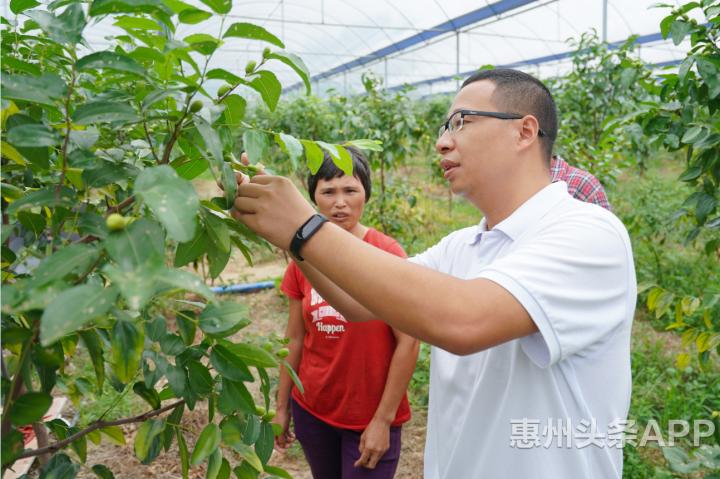 荒地变成致富田乡村振兴,荒地变成风景