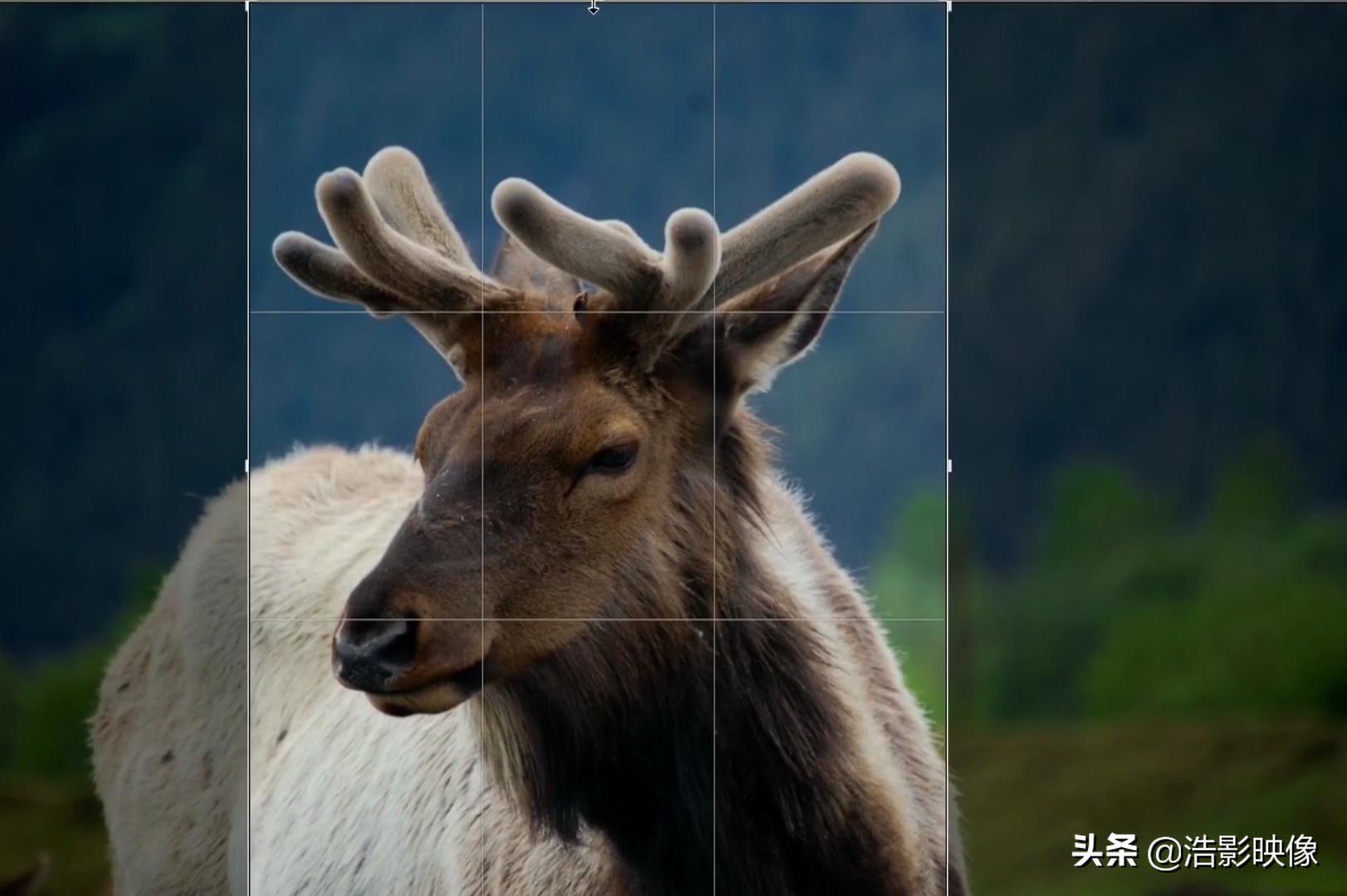 光学变焦混合变焦数字变焦的区别,数码变焦与光学变焦的区别