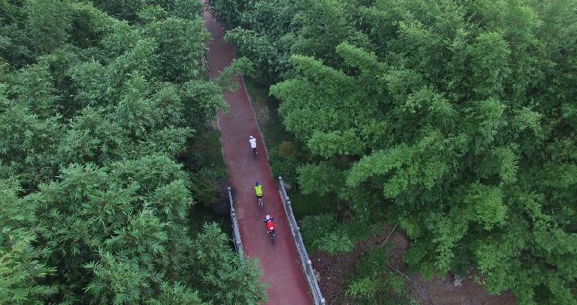 温州值得骑行打卡的地方,温州有哪些骑行的好地方