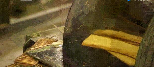 中国的筷子你真的懂么？来看看一次性筷子的制造