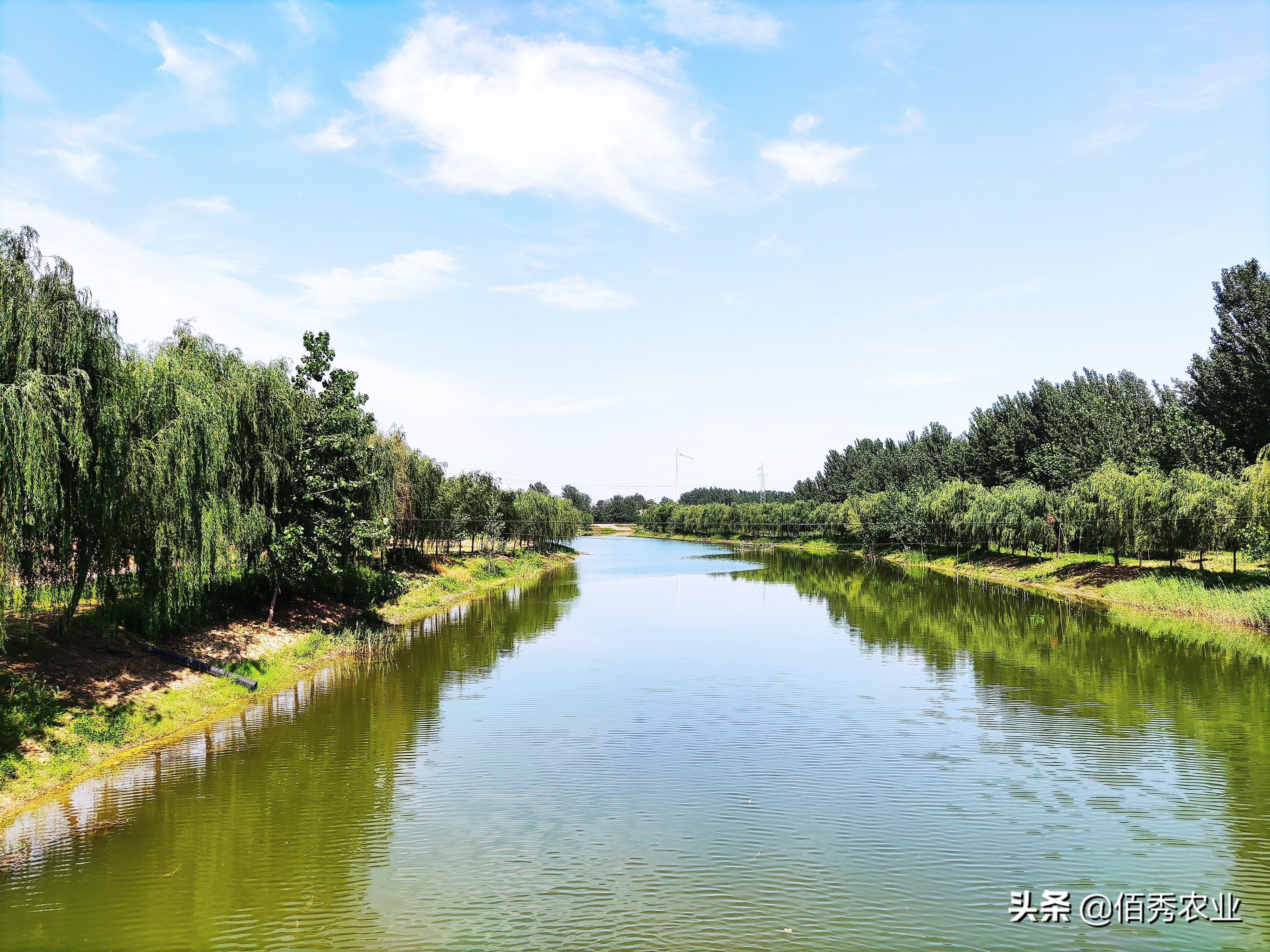 干涸多年的河沟，下雨积水后，为啥会有很多小鱼，从哪里来的？