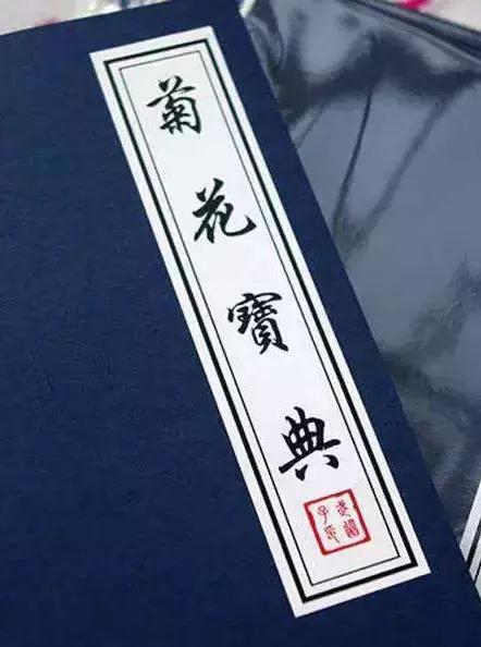 痔疮是人类为直立行走付出的代价