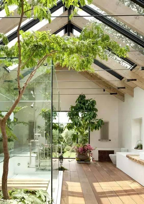 室内做的景观,室内景观打造过程