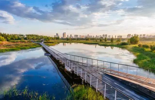 南昌附近一日游的景点有哪些,南昌旅游景点推荐一日游