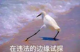 连发四条朋友圈,一天发十条朋友圈被刷