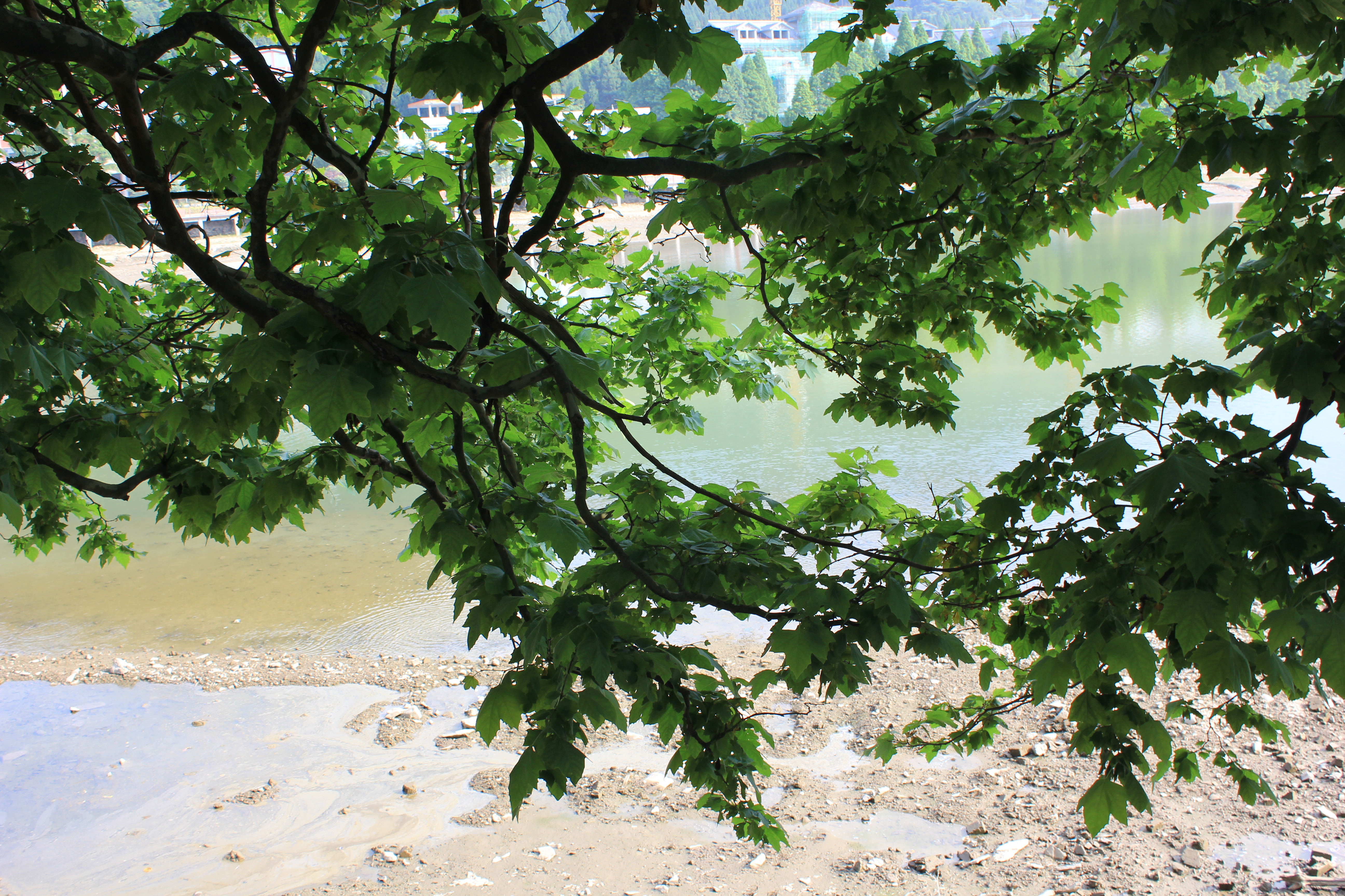 武汉周边避暑胜地｜端午武汉至咸宁九宫山2日自驾亲子游路线分享