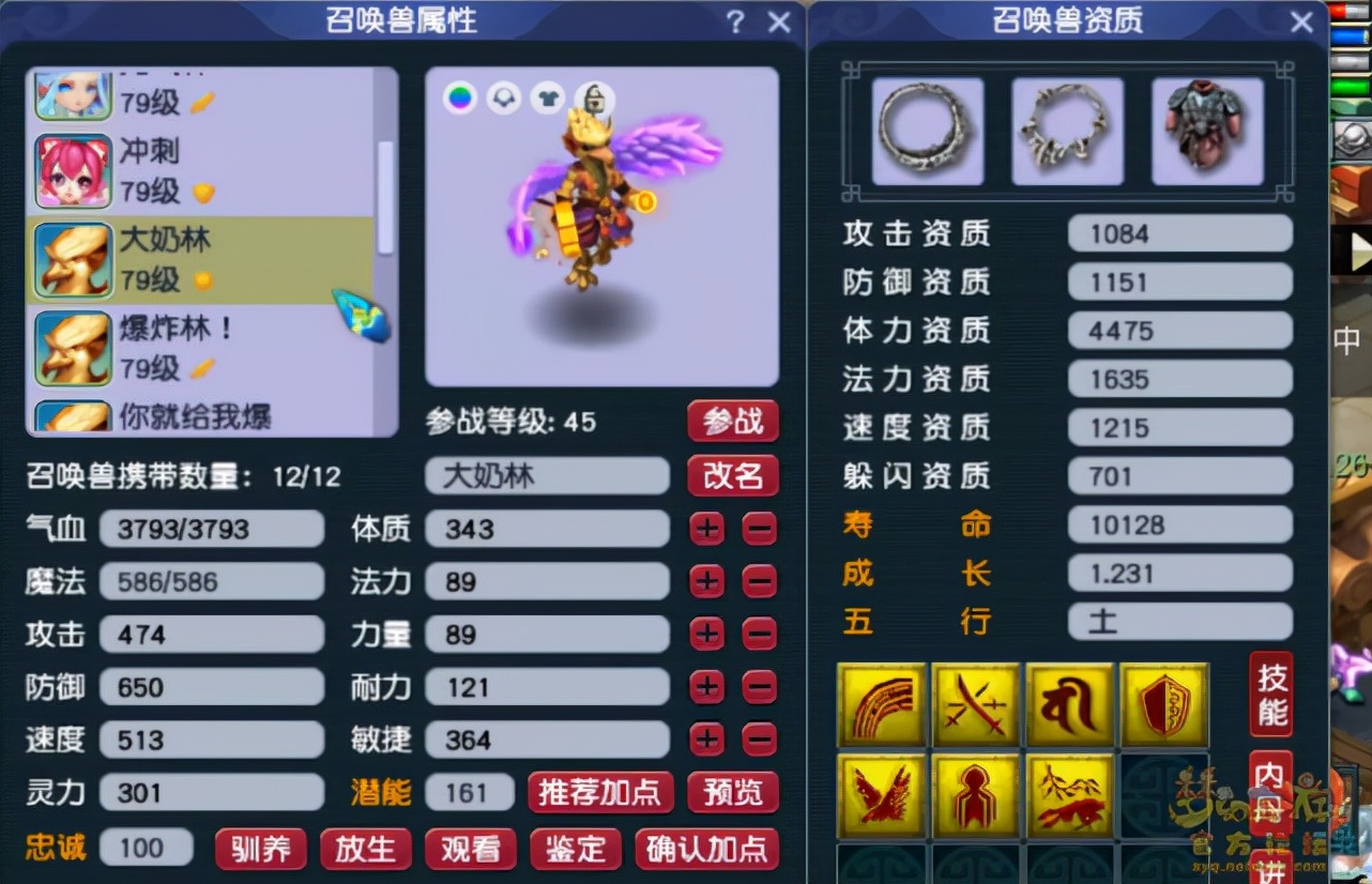 梦幻西游69普陀配号攻略大全,梦幻西游普陀山69带什么法宝