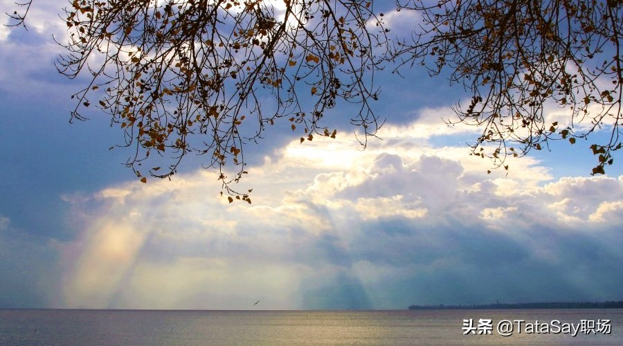 疫情老板心酸史,疫情老板无奈的心酸句子