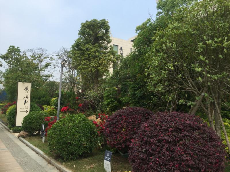 明珠蒙尘,漳州港双鱼岛开发对房价的影响