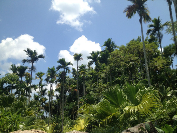 三亚自由行旅游攻略超详细哦,三亚旅游自由行全攻略