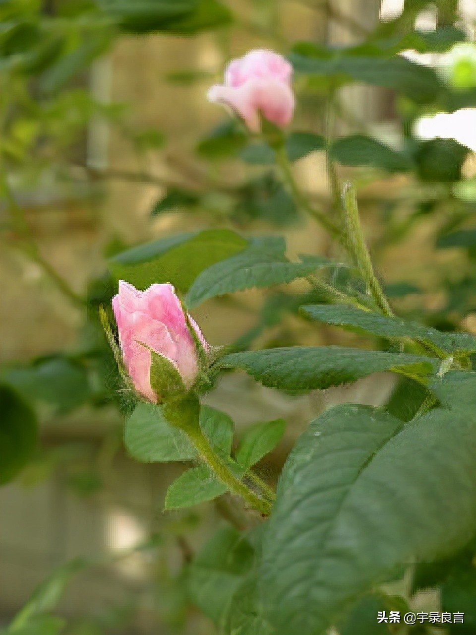 哲理短句精辟入骨,15条精辟入骨的句子