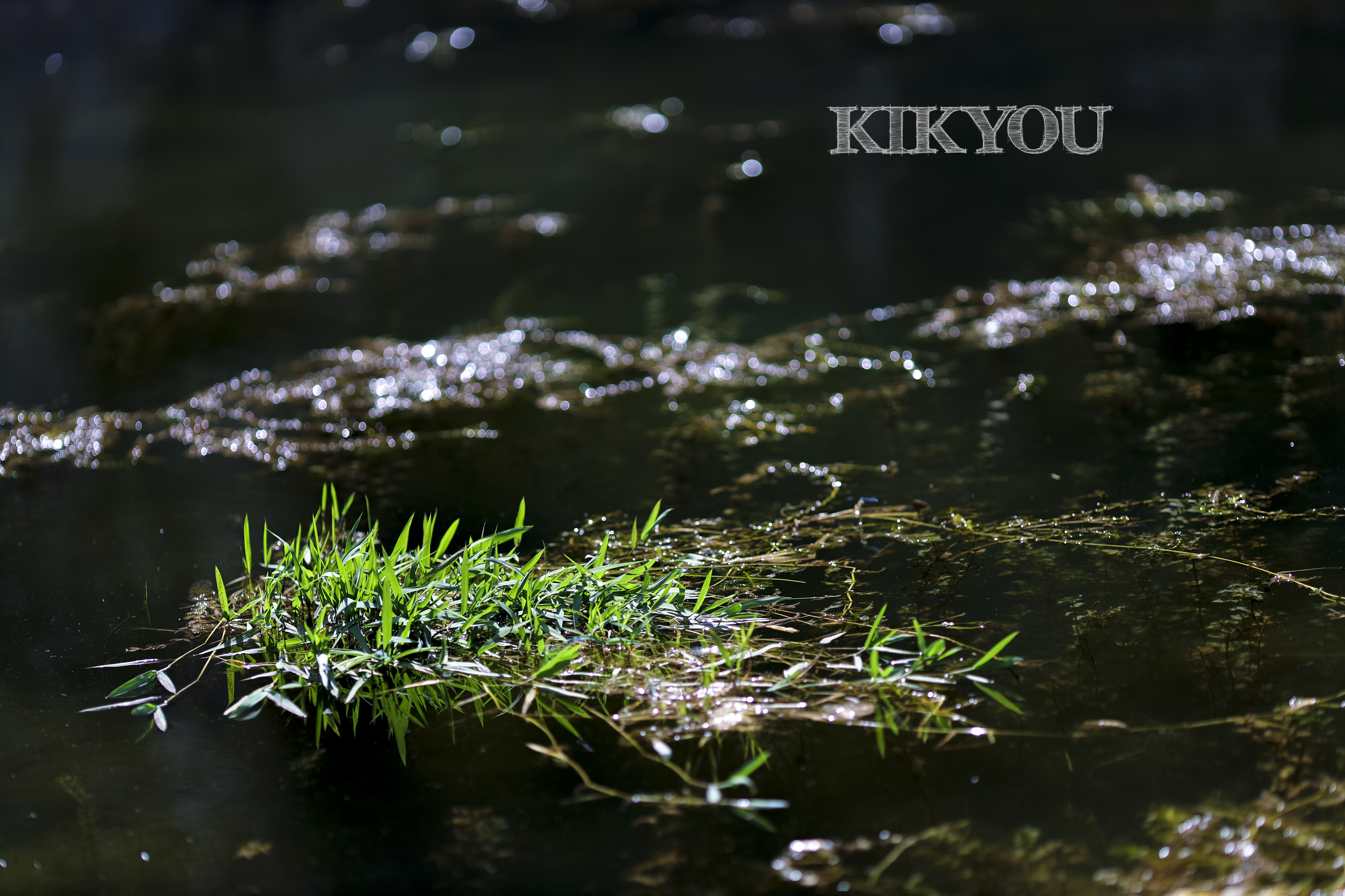 奔驰glb露营改装,glb改装露营