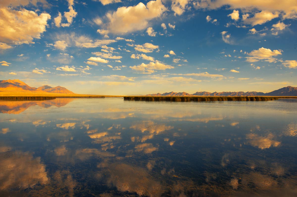 我的旅行日记之青海,我的旅行日记高原茶场