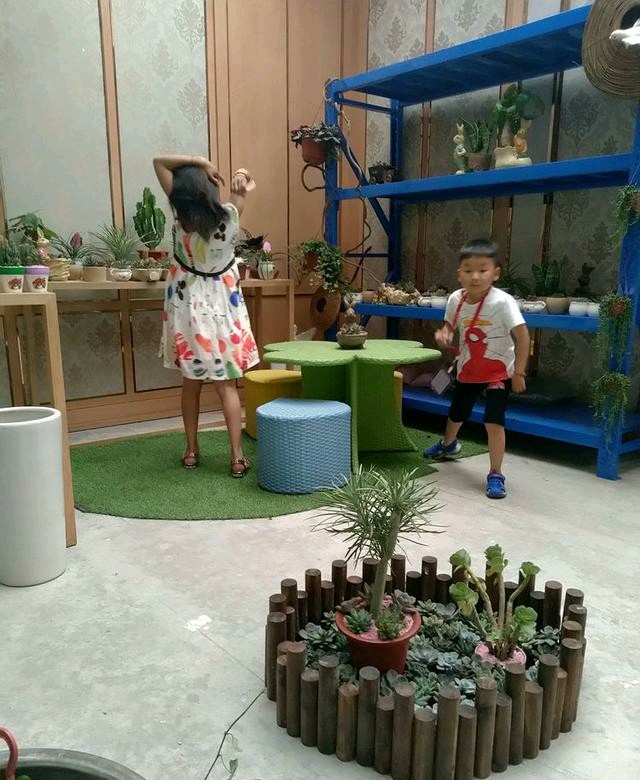 西子湖畔夜游,西子湖上荡游船攻略