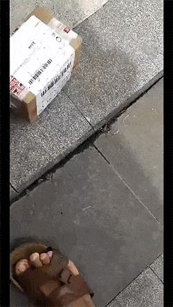 “如果这群女混混*攻围**我,我会舌战群儒!”你会怎样脱困?