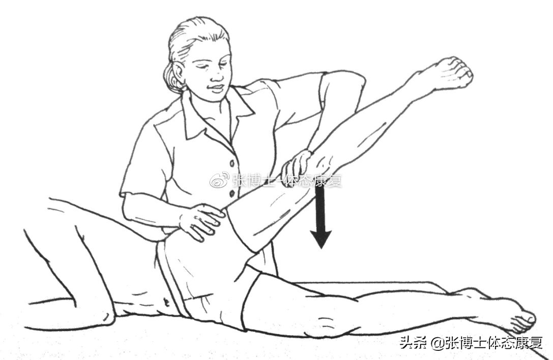 「译文分享」人体侧向子系统与单腿运动的稳定性