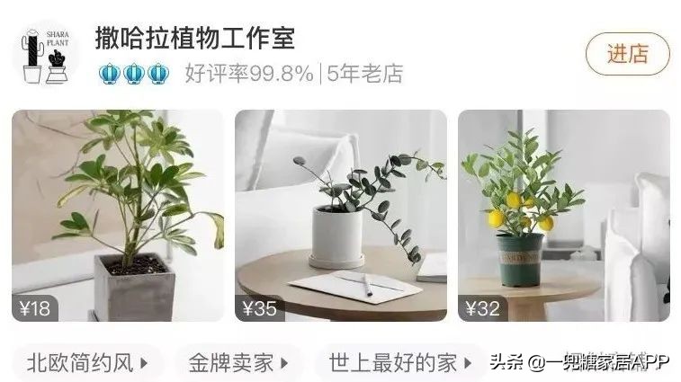 春天花会开|这20家植物淘宝店，植物杀手看了也想买！