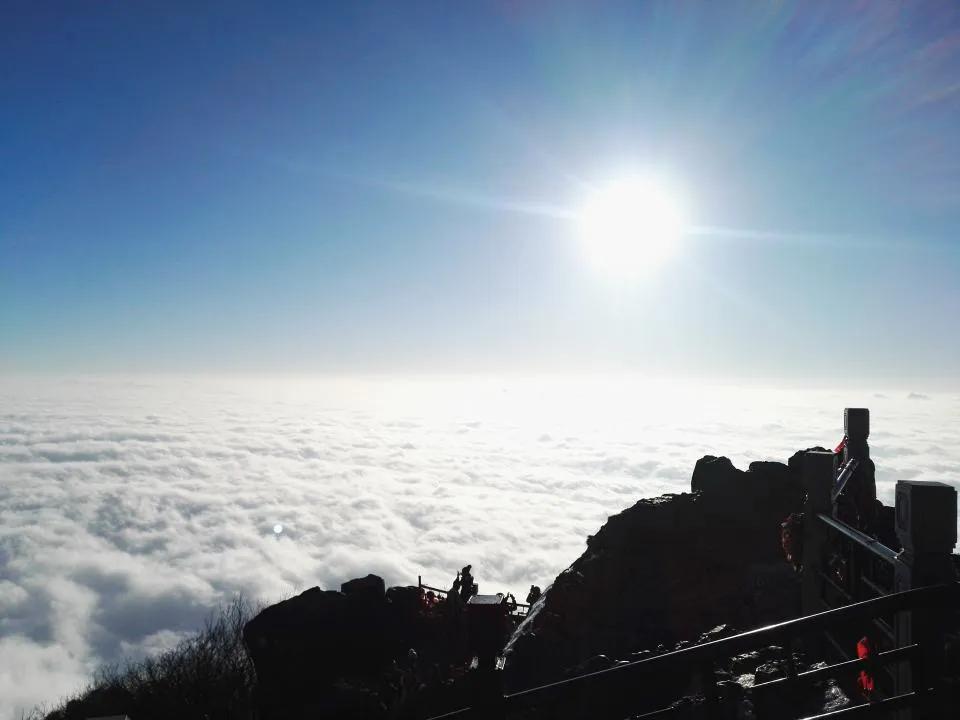 峨眉山有什么灵猴,峨眉山灵猴在哪