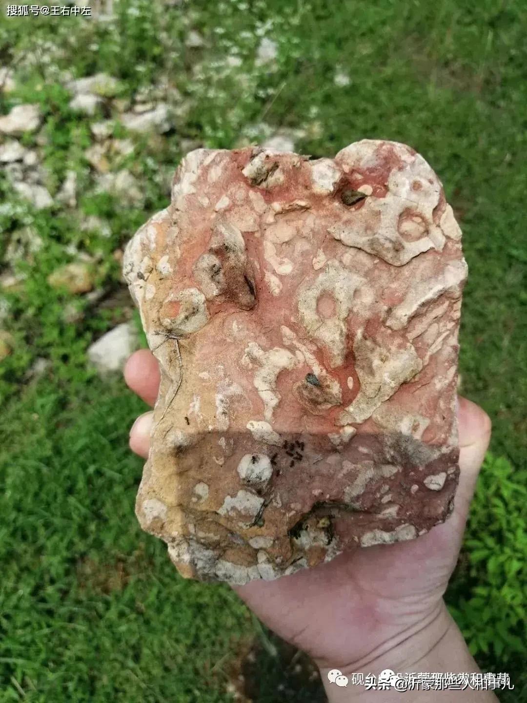 米芾《诏使帖》,米芾临沂使君帖书法赏析