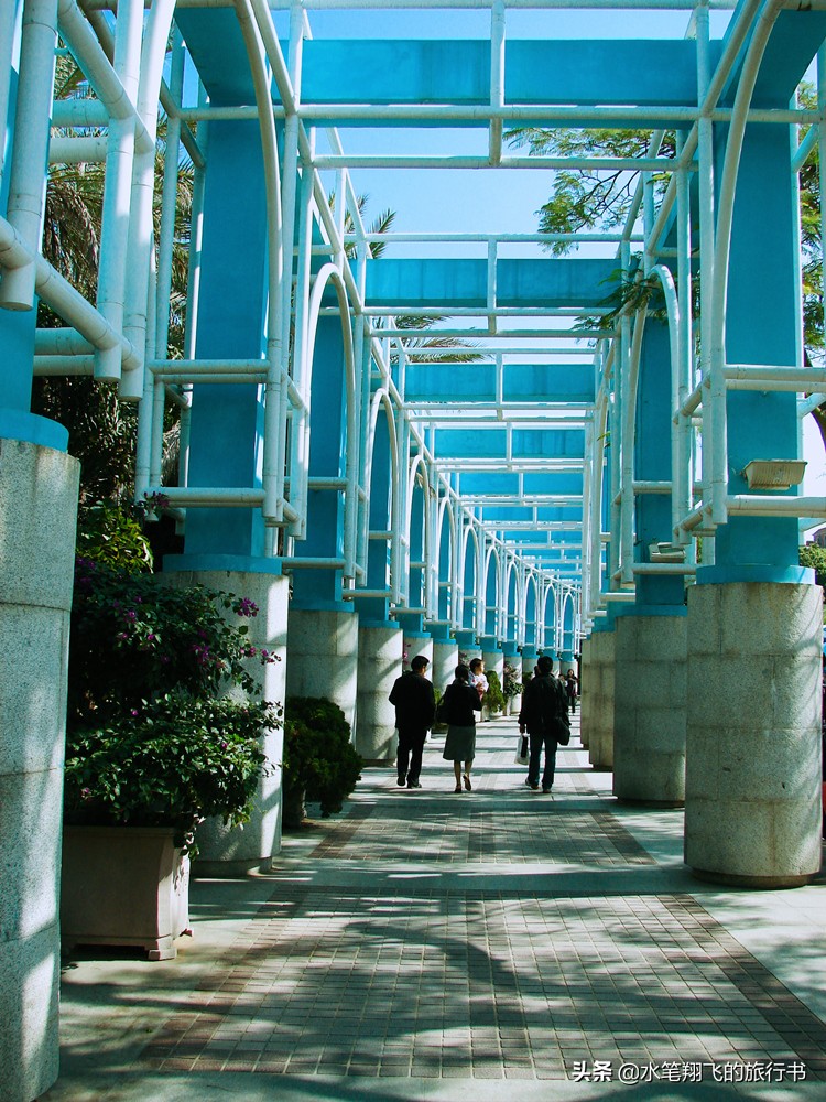 厦门有这样一个地方｜小和尚的邻居是大学生，古朴与摩登并存