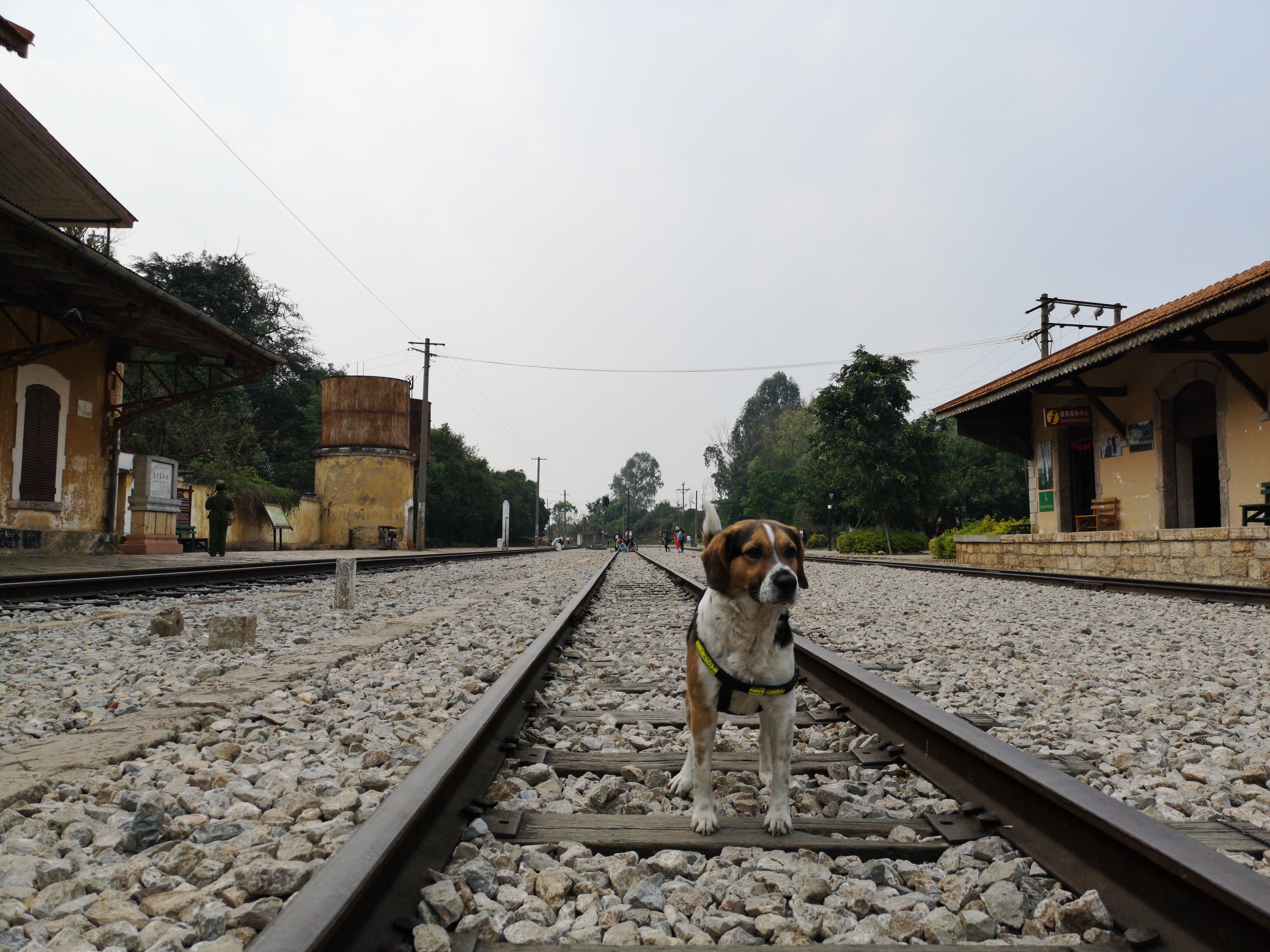 去云南旅游自驾2万元够吗,不到2000元的云南十日游